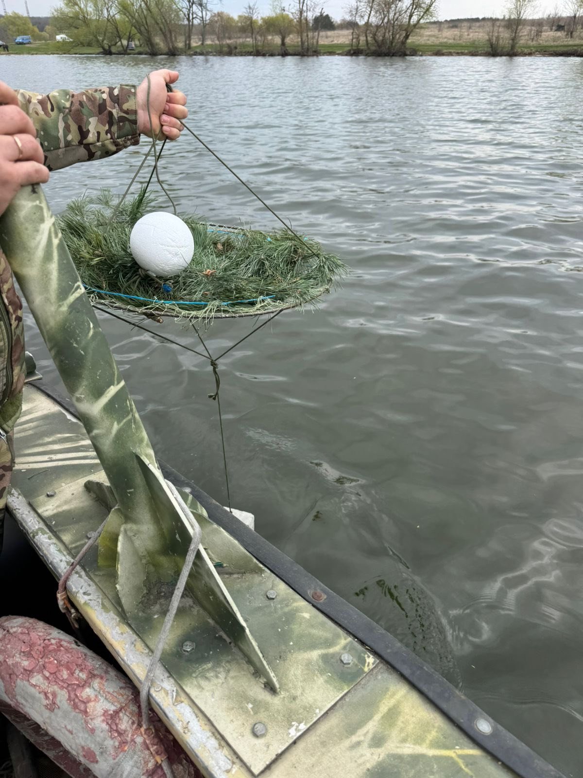 На водоймах Вінниччини облаштовують штучні нерестовища для риби