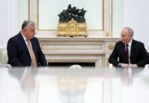 Bloomberg: Орбан в разговоре с Путиным предложил быть «мышью», которая помогает «льву»