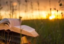 В США и Британии растет популярность книжных ретритов: люди платят по $1000