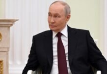 Политолог объяснил, зачем Путину законопроект о «защите» россиян за границей