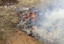 Спалювали траву і сміття — отримали штраф. У Лука-Мелешківській громаді зловили паліїв