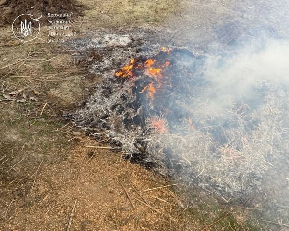 Спалювали траву і сміття — отримали штраф. У Лука-Мелешківській громаді зловили паліїв