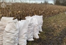 На Вінниччині оголосили нові підозри у справі про експлуатацію підопічних інтернату