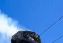 «Повертайся, друже, твоя хата готова!»: подружжя з Ямполя відновило згоріле гніздо лелек