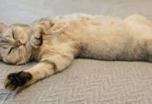 В Украину идут сильные заморозки и мокрый снег: какой погоды ждать на Пасху