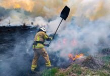 Пожежі на Вінниччині: за добу вигоріло понад 2 гектари територій