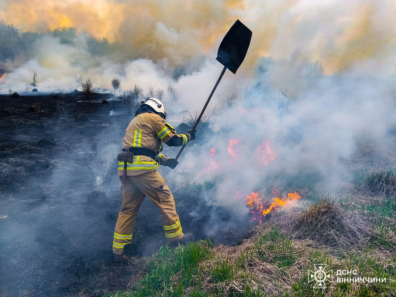 Пожежі на Вінниччині: за добу вигоріло понад 2 гектари територій