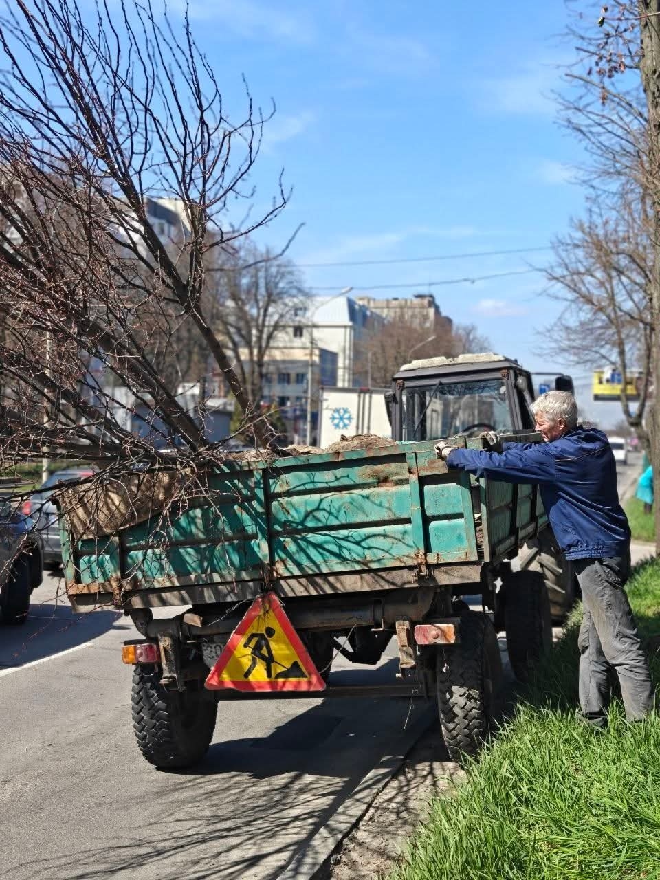 У Вінниці триває весняне озеленення: на Хмельницькому шосе висаджують липи