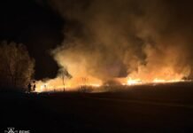 5 гектарів вигоріло: на Вінниччині зафіксували 12 пожеж за добу