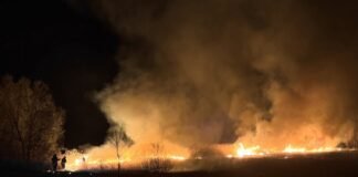 5 гектарів вигоріло: на Вінниччині зафіксували 12 пожеж за добу