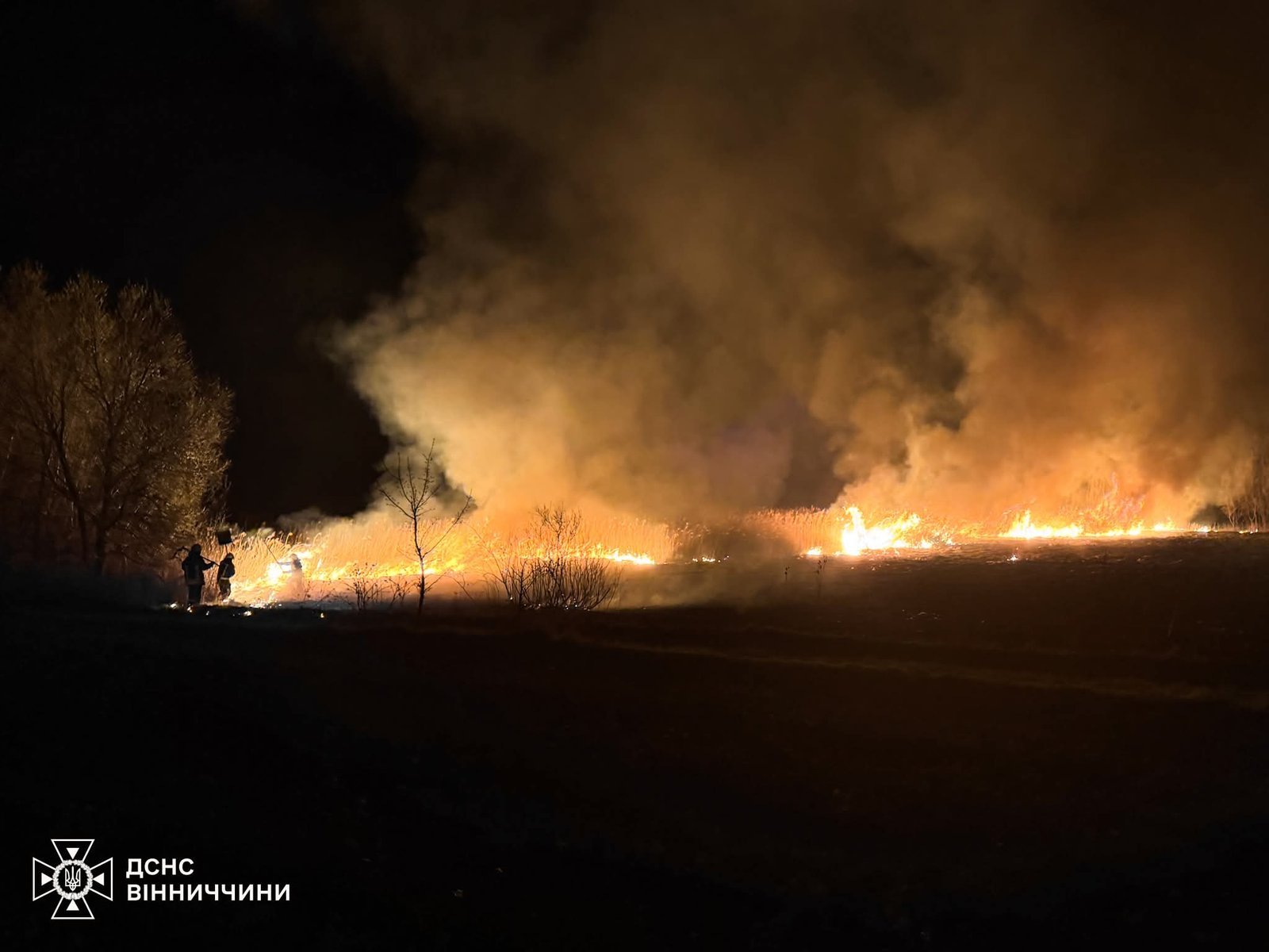 5 гектарів вигоріло: на Вінниччині зафіксували 12 пожеж за добу