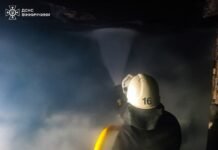 На Вінниччині через пожежу загинула 87-річна жінка