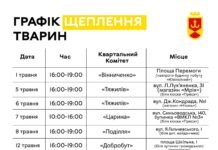 Домашніх тварин у Вінниці безкоштовно щеплюватимуть від сказу