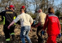 На Вінниччині чоловік застряг у мотоблоці