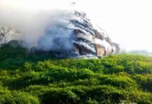 Понад два гектари вигоріло: на Вінниччині фіксують сплеск пожеж