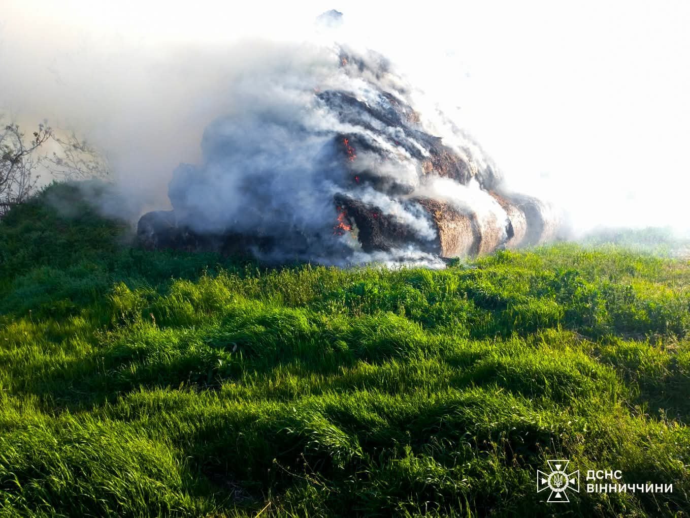Понад два гектари вигоріло: на Вінниччині фіксують сплеск пожеж