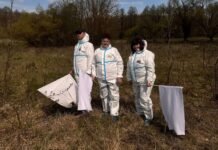 У Вінницькій області зросла активність кліщів після потепління