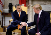 «Трамп — это риск»: европейские союзники США в панике из-за провала Орбана