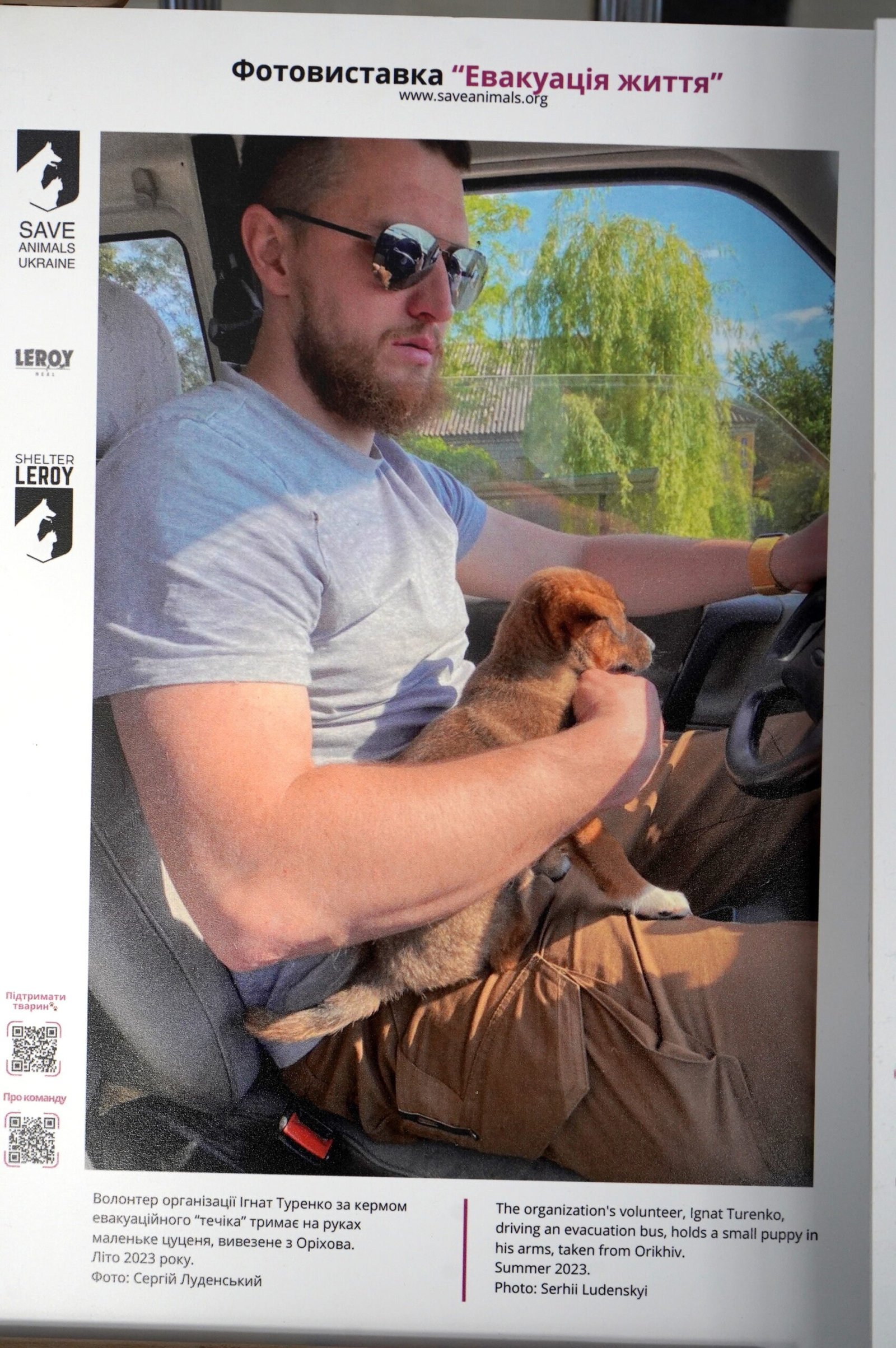 У Вінниці відкрили виставку про евакуацію тварин із зони бойових дій