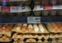 Великодній кошик 2026 року здорожчав на 14%. Найбільше зросли ціни на яйця, м’ясо та овочі