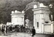 Серце вінницького спорту: чому стадіон «Локомотив» залишається легендою попри роки