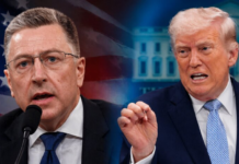 Волкер указал на главную ошибку европейцев в общении с Трампом