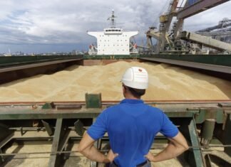 Украина просит Израиль о правовой помощи по судну с краденым зерном, — источники