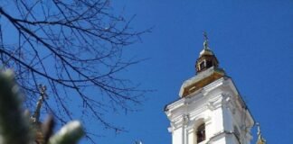 Тисячі вірян у молитві: як Вінниця відзначає Вербну неділю