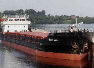 Возле оккупированной Херсонщины затонуло российское судно с пшеницей: что известно