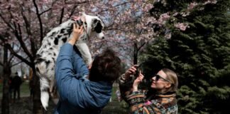 Погода существенно не изменится, но немного потеплеет: прогноз в Украине на неделю (карты)