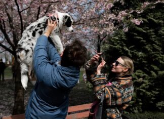 Погода существенно не изменится, но немного потеплеет: прогноз в Украине на неделю (карты)