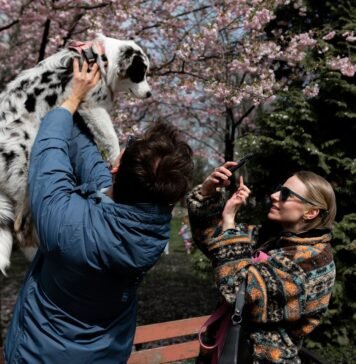 Погода существенно не изменится, но немного потеплеет: прогноз в Украине на неделю (карты)