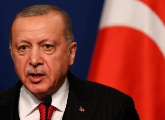 Эрдоган пытается возобновить прямой диалог между Украиной и Россией