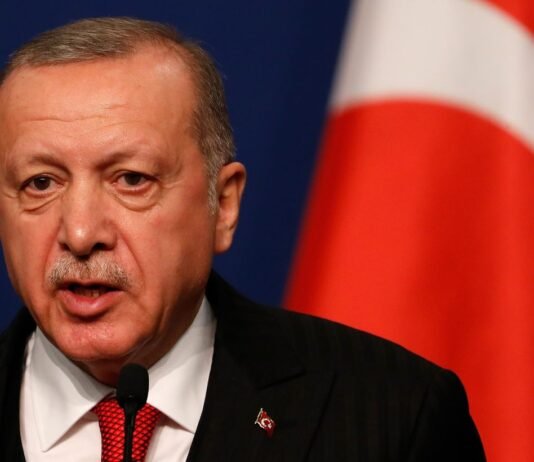 Эрдоган пытается возобновить прямой диалог между Украиной и Россией