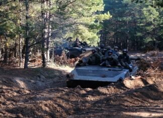 Враг под прикрытием «зеленки» рвется в лес на Днепропетровщине: в ВСУ объяснили цель