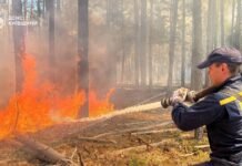 В Чернобыльской зоне тушат масштабный пожар – видео, фото