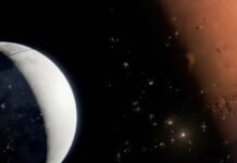 SpaceX Ілона Маска офіційно подала документи для IPO та планує вихід на біржу