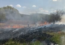 У Сокиринцях, що на Вінниччині, горіла господарська споруда із дровами та сіном