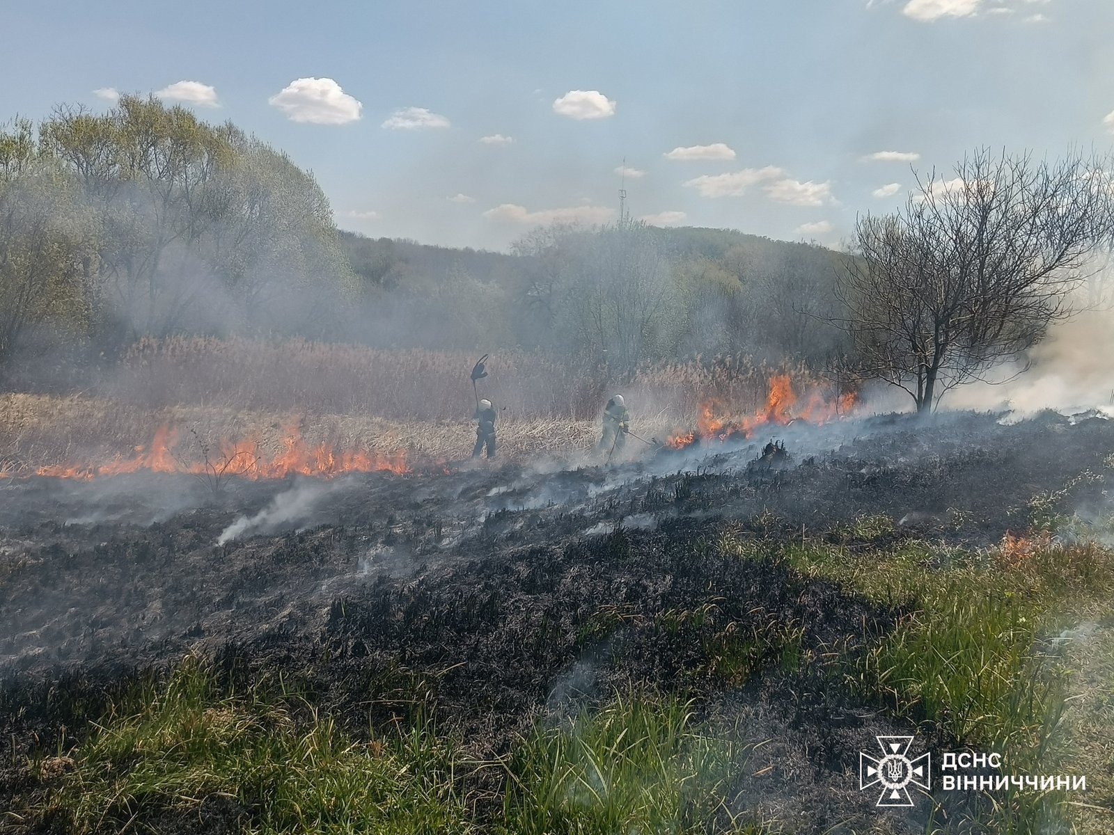 У Сокиринцях, що на Вінниччині, горіла господарська споруда із дровами та сіном
