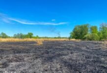 На Вінниччині згоріли два вагончики: вогонь охопив 200 квадратних метрів