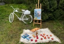 «Пироговський пікнік» відбувся у Вінниці: майстер-класи, фотозони та благодійний збір