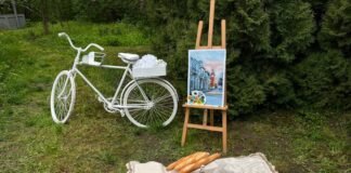 «Пироговський пікнік» відбувся у Вінниці: майстер-класи, фотозони та благодійний збір
