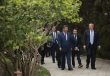 США и Китай договорились сунизить пошлины после переговоров Трампа и Си