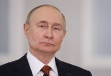 Германия отвергла предложение Путина назначить Шредера переговорщиком между ЕС и РФ
